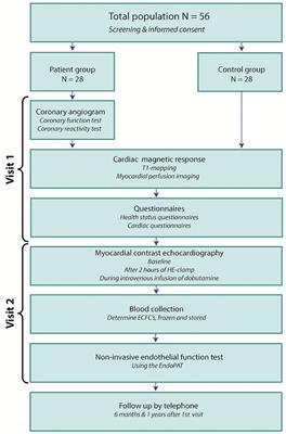 Reduced Microvascular Blood Volume as a Driver of Coronary Microvascular Disease in Patients With Non-obstructive Coronary Artery Disease: Rationale and Design of the MICORDIS Study